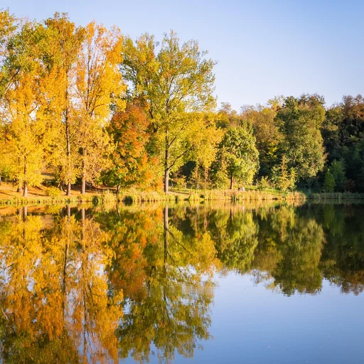 问鼎娱乐博彩牌照